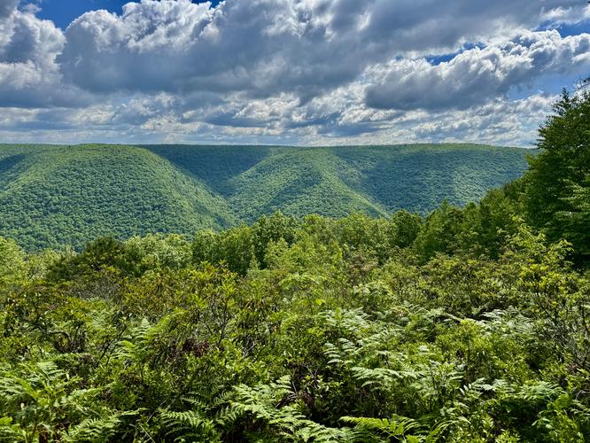 Slate Run Vista