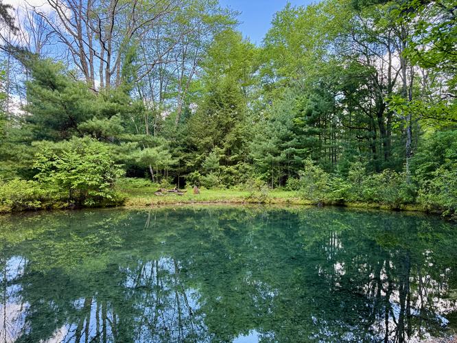 Turquoise reflection pond