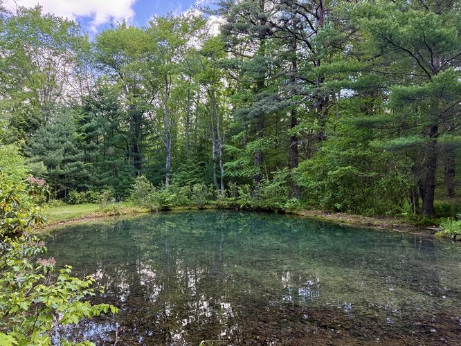 Turquoise reflection pond