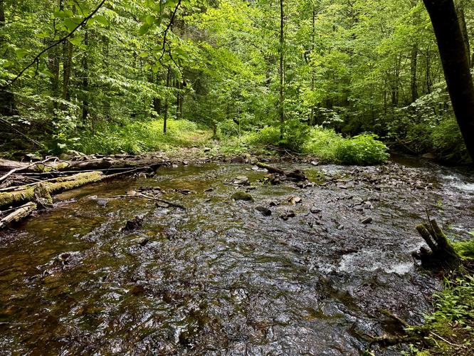 Creek crossing on Manor Fork
