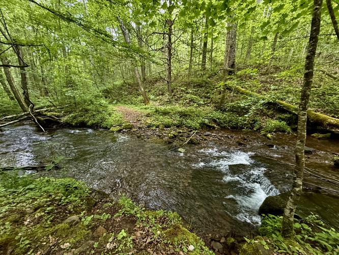 Creek crossing on Manor Fork