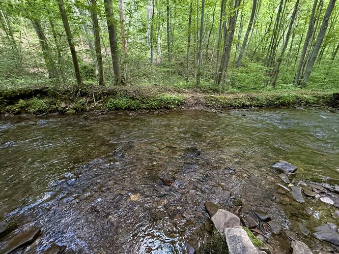Creek crossing on Manor Fork