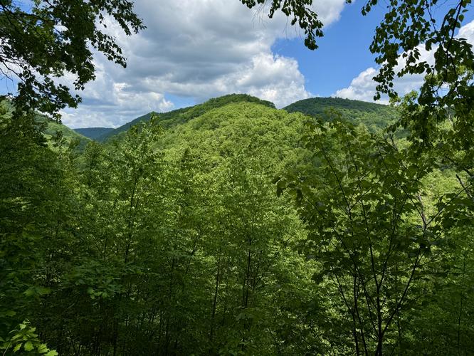 On-road vista above Slate Run