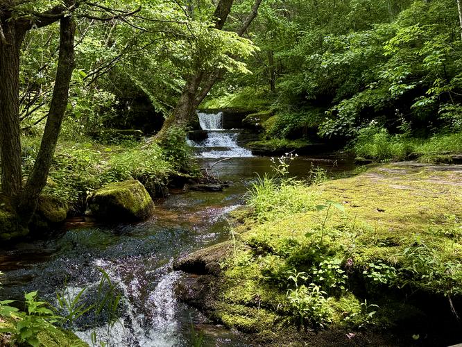 Downstream view of Little Morris Falls, approx. 6-feet tall
