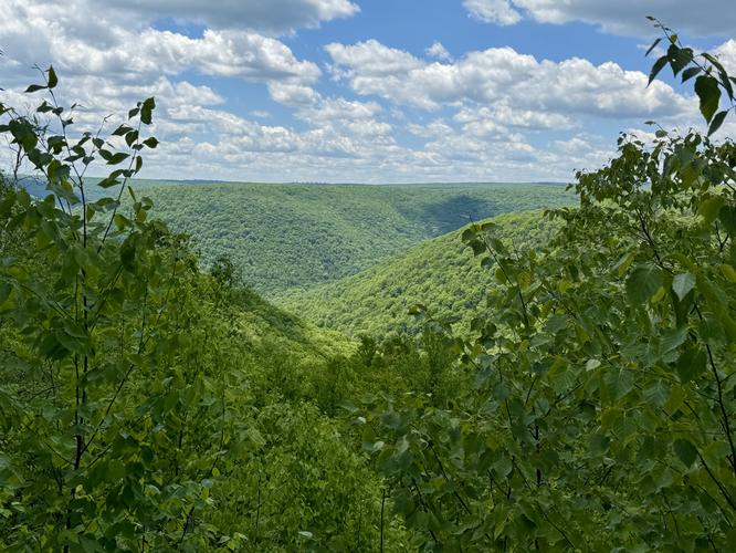 Red Run Vista, in Algerine Wild Area