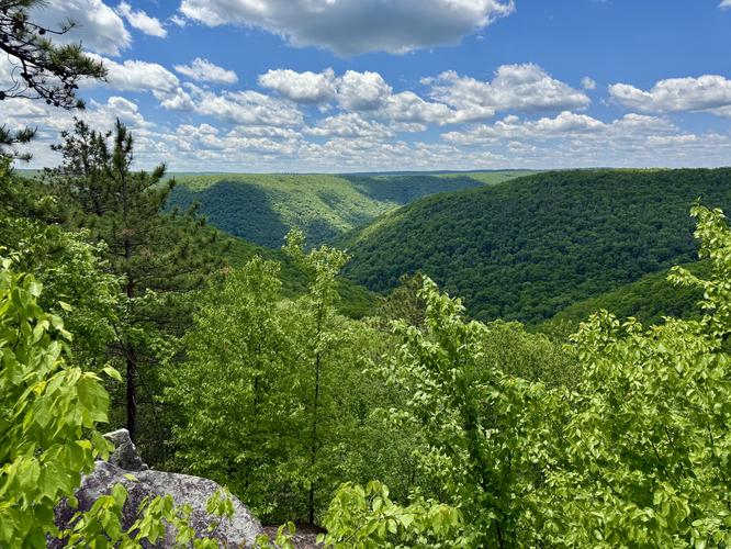 Algerine Vista views of Red Run toward Slate Run