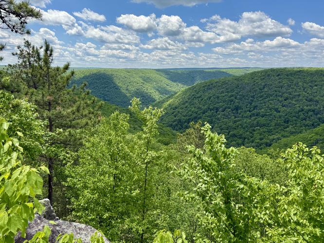Algerine Vista views of Red Run toward Slate Run