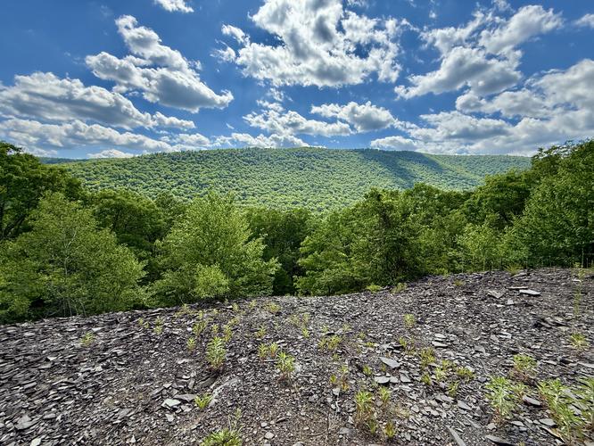 Lower Quarry Vista