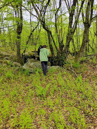 Big Rocks Loop - BR album