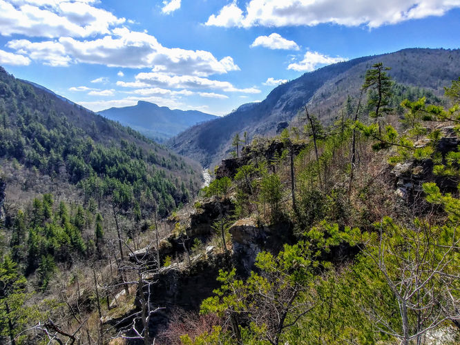Default image for Babel Tower Hike, a 3.1-mile trail in Linville Gorge Wilderness, NC (US)