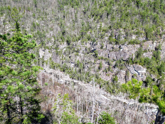 Picture 19 of Babel Tower Hike 031818