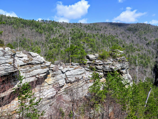 Picture 25 of Babel Tower Hike 031818