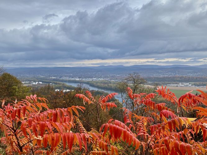 Bald Eagle Mountain Scenic Overlook