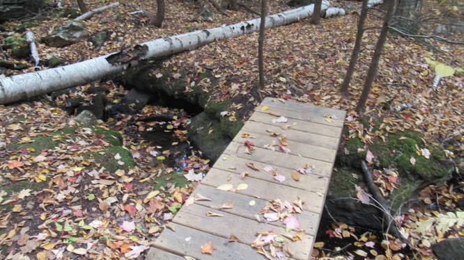 One of several sturdy wooden bridges