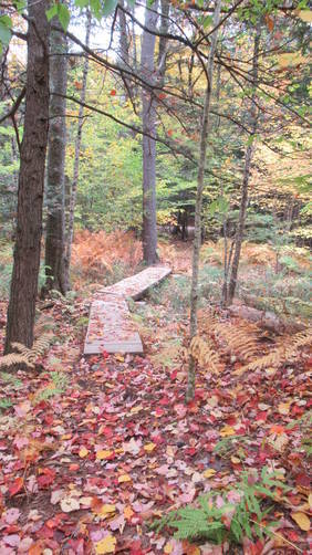One of several sturdy wooden bridges