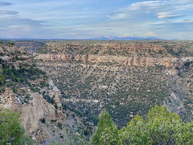 View into Soda Canyon from the Balcony House View