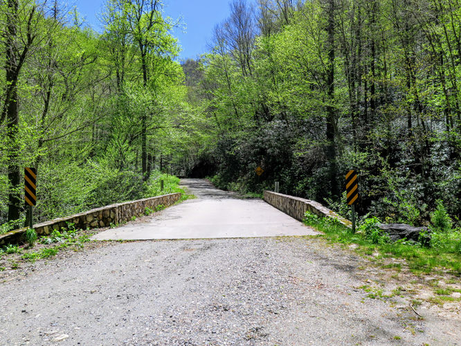 Picture 8 of Bald Knob Ridge to Pinnacle 051717