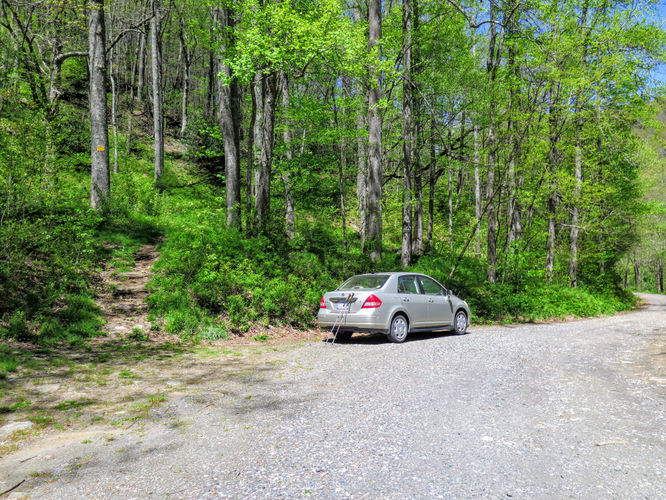 Picture 9 of Bald Knob Ridge to Pinnacle 051717
