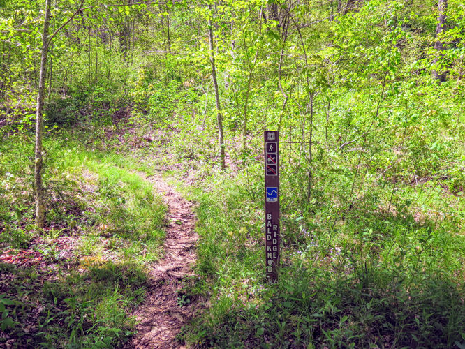 Picture 10 of Bald Knob Ridge to Pinnacle 051717