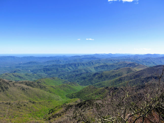Picture 23 of Bald Knob Ridge to Pinnacle 051717