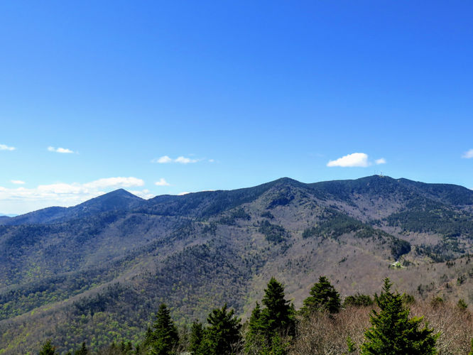 Picture 29 of Bald Knob Ridge to Pinnacle 051717