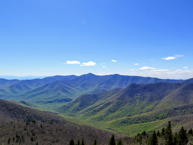 Picture 30 of Bald Knob Ridge to Pinnacle 051717