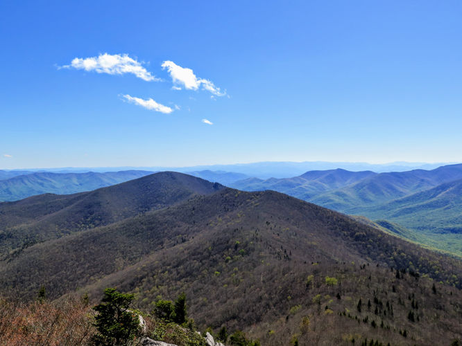 Picture 33 of Bald Knob Ridge to Pinnacle 051717