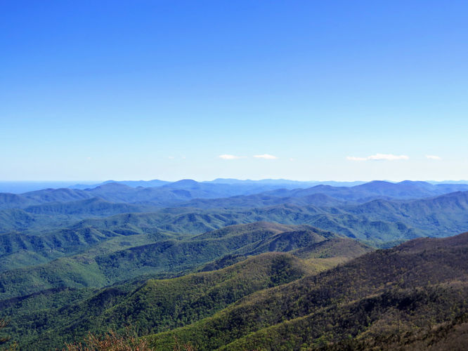 Picture 36 of Bald Knob Ridge to Pinnacle 051717