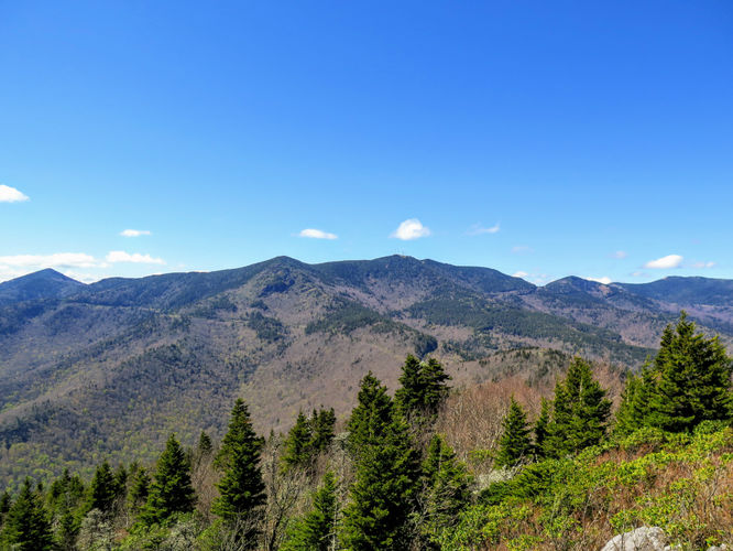 Picture 37 of Bald Knob Ridge to Pinnacle 051717