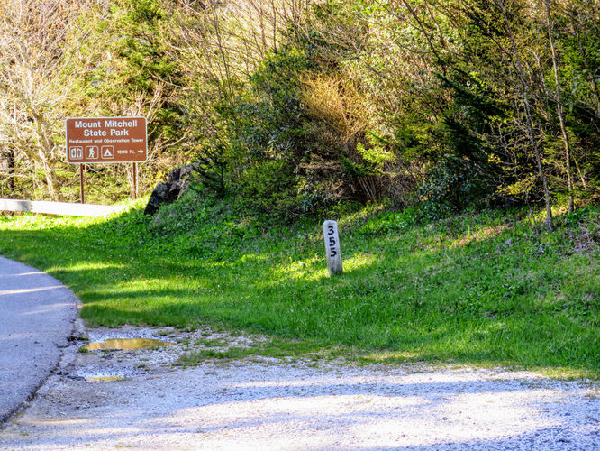 Picture 39 of Bald Knob Ridge to Pinnacle 051717