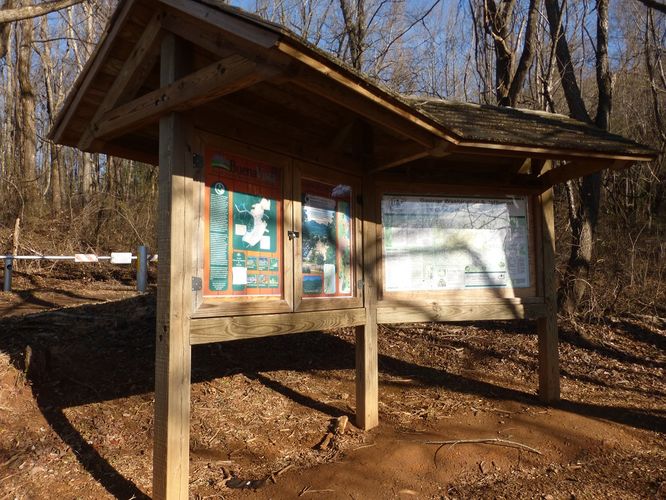Picture 6 of Bald Knob and Cold Mountain Hike