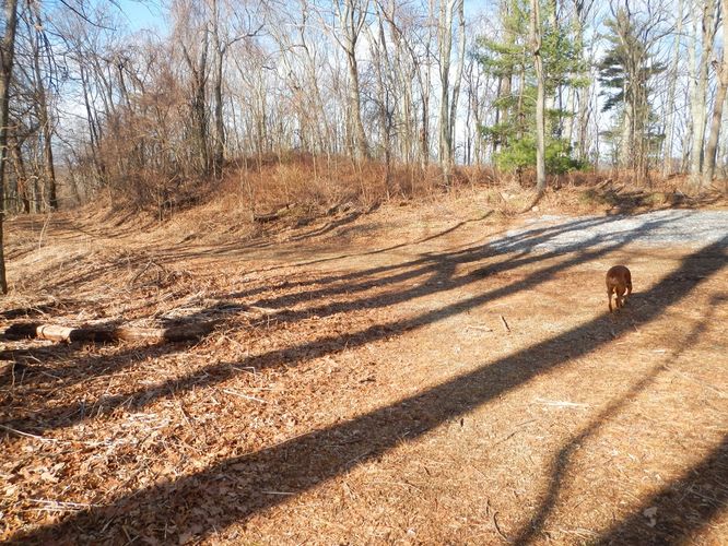 Picture 7 of Bald Knob and Cold Mountain Hike