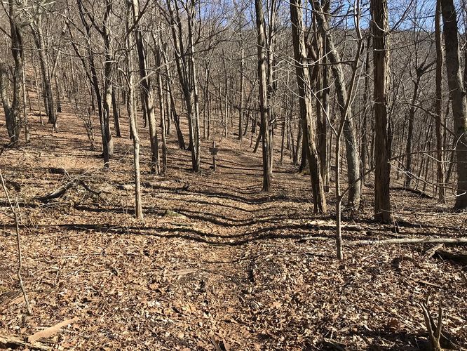 Picture 13 of Bald Knob and Cold Mountain Hike