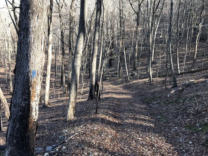 Picture 14 of Bald Knob and Cold Mountain Hike