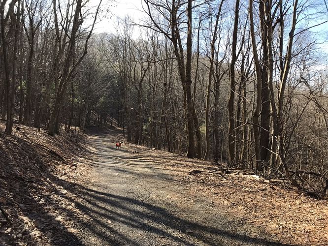 Picture 16 of Bald Knob and Cold Mountain Hike