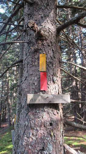 Bald Mountain and Tamposi Trail Markers