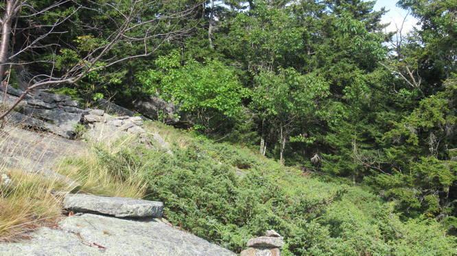 Rocks and juniper bushes near viewpoint