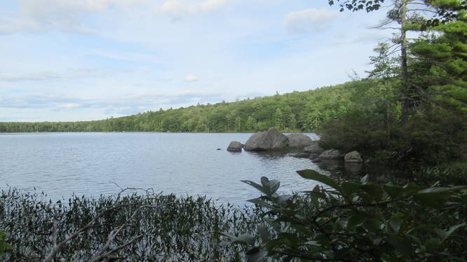 View of Willard Pond from Tudor Trail