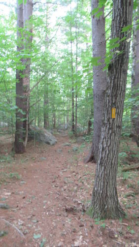 Tudor Trail near exit to access road