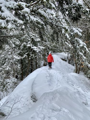 Small ridge walk on Bald Mountain