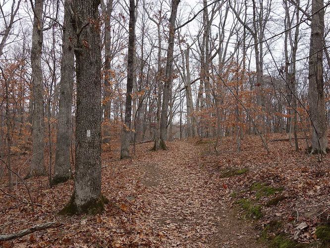 Picture 3 of Balls Bluff Battlefield Hike 120416