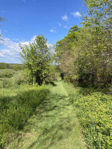 Picture 5 of Banshee Reeks Loop