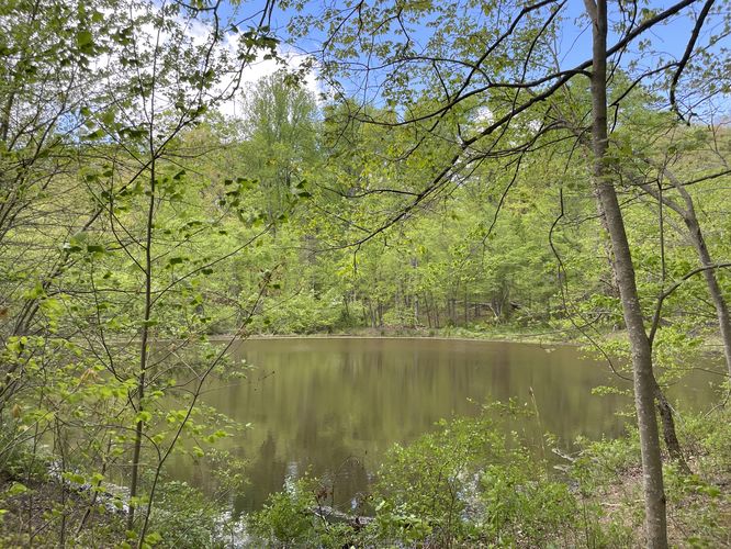 View of Corner Pond