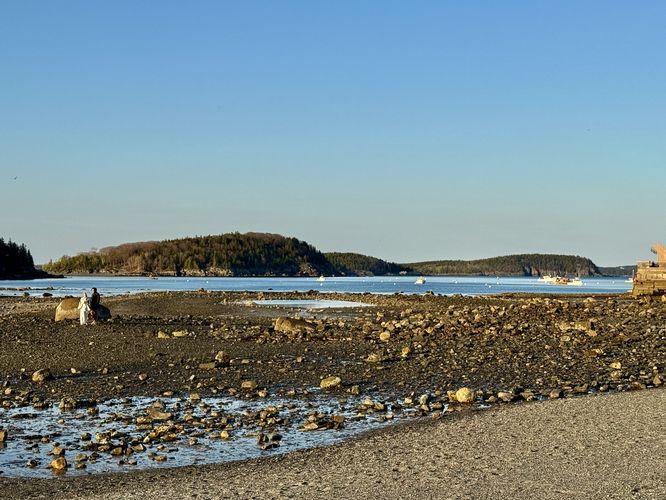 Picture 3 of Bar Island Path Hike