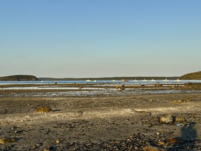 Picture 6 of Bar Island Path Hike