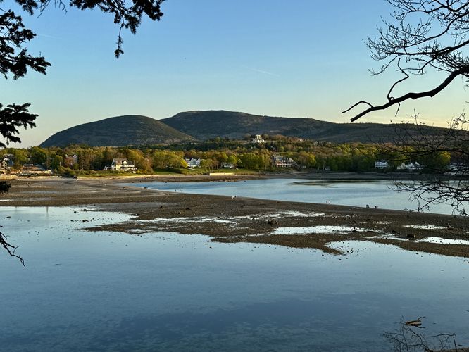 Picture 11 of Bar Island Path Hike