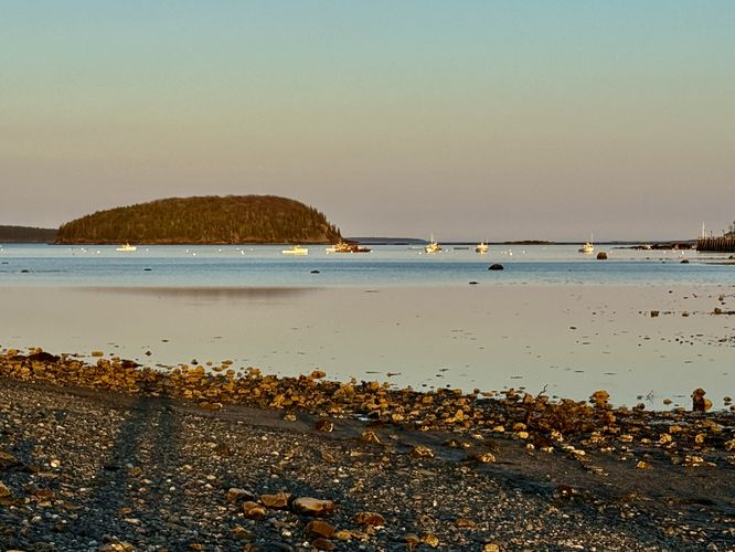 Boats moored in Frenchman Bay at low tide