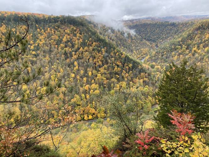  Foliage in the PA Grand Canyon - view from Barbour Rock
