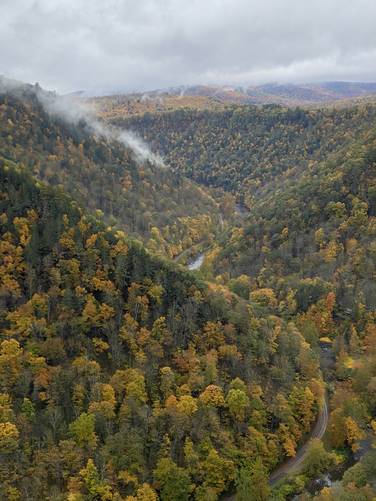  Foliage in the PA Grand Canyon - view from Barbour Rock
