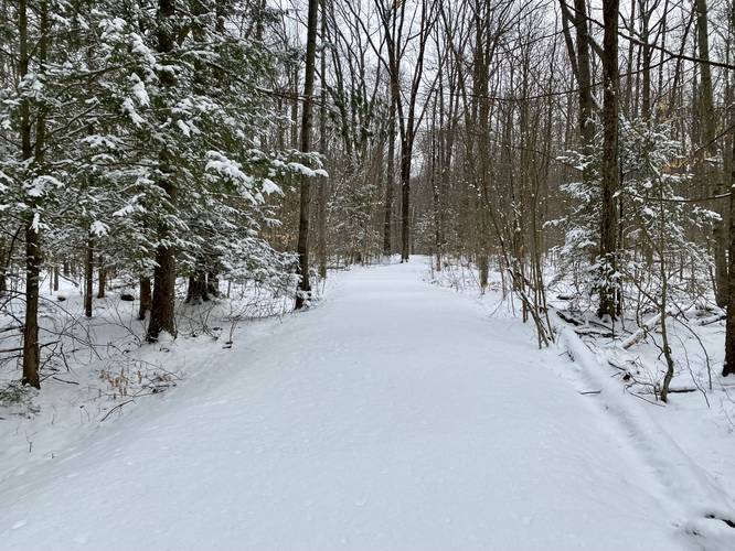 Snow-covered Barbour Rock Accessible Trail